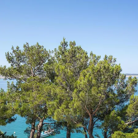 Hajdin Appartement Starigrad Paklenica